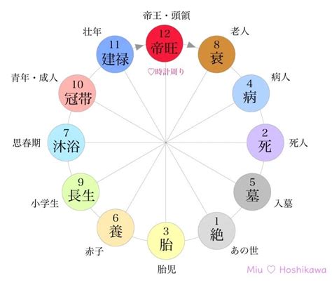 星運帝旺|四柱推命｜十二運の「帝旺(ていおう)」とは？性格・ 